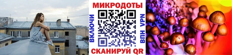 Псилоцибиновые грибы Psilocybe  наркотики  Черняховск 