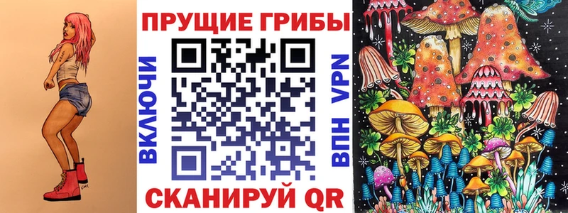 Псилоцибиновые грибы Psilocybe Черняховск